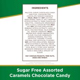 Russell Stover Sugar Free Assorted Chocolate Caramels, 17.6 oz, thumbnail image