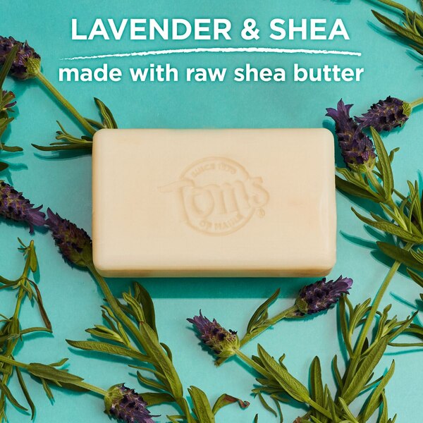 Tom's of Maine Bar Soap, Lavender, 5 OZ