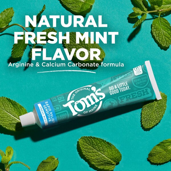 Tom's Of Maine Rapid Relief Sensitive Natural Fluoride-Free Toothpaste, Fresh Mint, 4 OZ