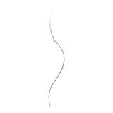 Wet n Wild Ultimate Brow Micro Brow Pencil, thumbnail image