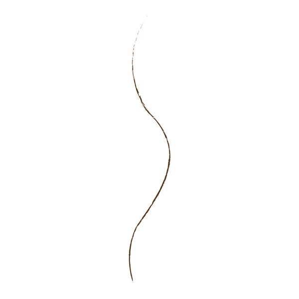 Wet n Wild Ultimate Brow Micro Brow Pencil