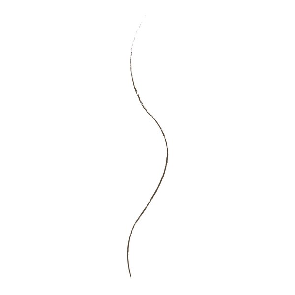 Wet n Wild Ultimate Brow Micro Brow Pencil