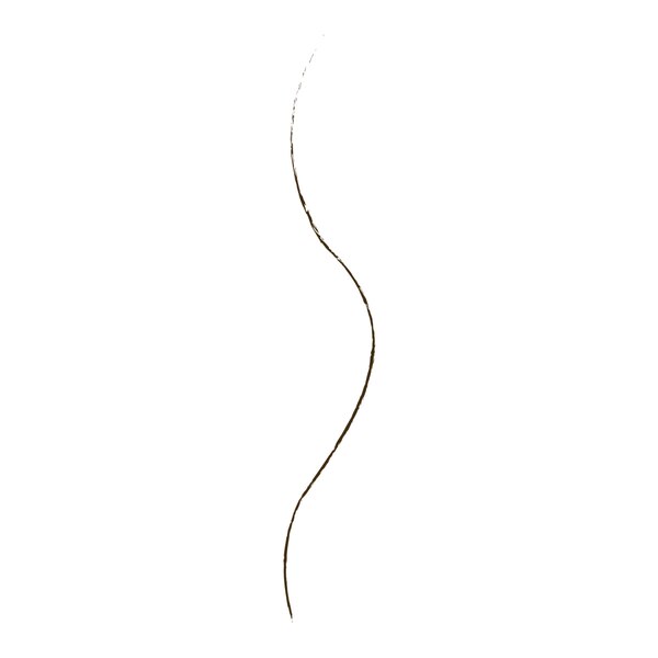 Wet n Wild Ultimate Brow Micro Brow Pencil