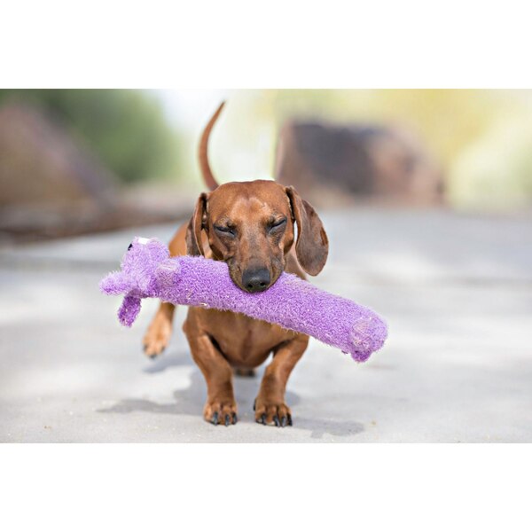 Multipet Loofa Dog Toy, Medium Size, Assorted Colors