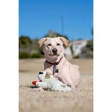Lamb Chop Stuffed Dog Toy, thumbnail image