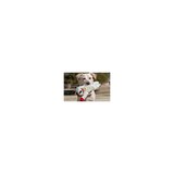 Lamb Chop Stuffed Dog Toy, thumbnail image