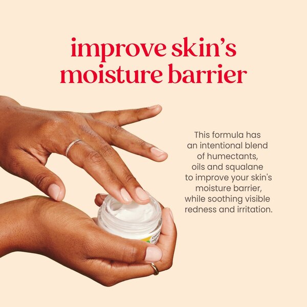 Burt's Bees Night Cream for Sensitive Skin, 1.8 OZ