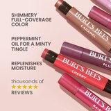 Burt's Bees 100% Natural Moisturizing Lip Shimmer, thumbnail image 3 of 9