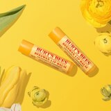 Burt's Bees 100% Natural Moisturizing Lip Balm, thumbnail image
