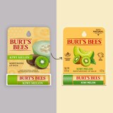Burt's Bees 100% Natural Moisturizing Lip Balm, Kiwi Melon, thumbnail image