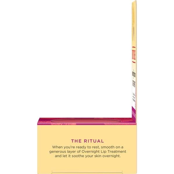 Burt's Bees Overnight Intensive Lip Treatment, 0.25 OZ