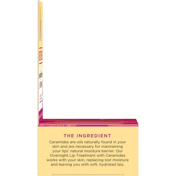 Burt's Bees Overnight Intensive Lip Treatment, 0.25 OZ