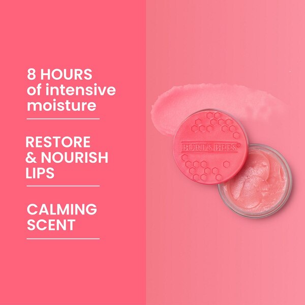 Burt's Bees Overnight Intensive Lip Treatment, 0.25 OZ