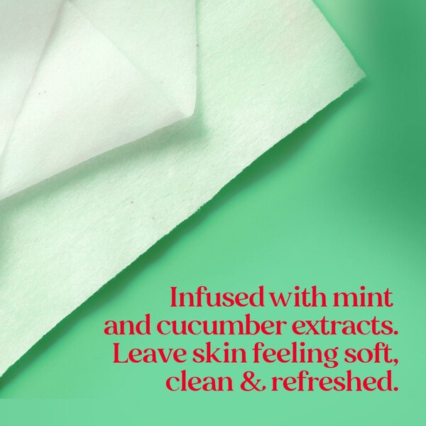 Burt's Bees Facial Cleansing Towelettes