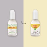 Burt's Bees Calming Serum With Aloe and Rice Milk, 1 OZ, thumbnail image 2 of 9