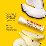 Burt's Bees Moisturizing Lip Balm, Freshly Picked Set, 4 CT, thumbnail image