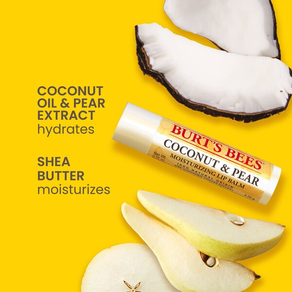 Burt's Bees Moisturizing Lip Balm, Freshly Picked Set, 4 CT