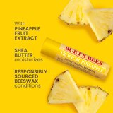 Burt's Bees Moisturizing Lip Balm, Freshly Picked Set, 4 CT, thumbnail image