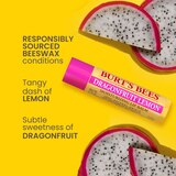 Burt's Bees Moisturizing Lip Balm, Freshly Picked Set, 4 CT, thumbnail image