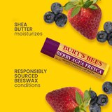 Burt's Bees Moisturizing Lip Balm, Freshly Picked Set, 4 CT, thumbnail image