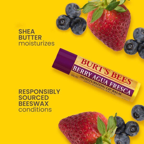 Burt's Bees Moisturizing Lip Balm, Freshly Picked Set, 4 CT