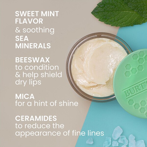 Burt's Bees Lip Treatment, Sweet Mint with Sea Minerals, 0.25 OZ