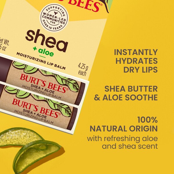 Burt's Bees Shea + Aloe Moisturizing Lip Balm, 2 CT
