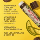 Burt's Bees Shea + Aloe Moisturizing Lip Balm, 2 CT, thumbnail image