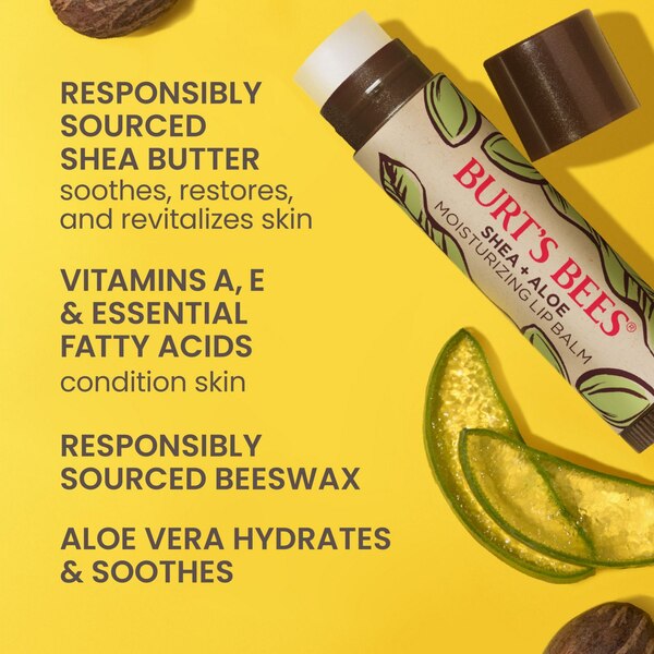 Burt's Bees Shea + Aloe Moisturizing Lip Balm, 2 CT
