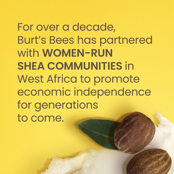 Burt's Bees Shea + Aloe Moisturizing Lip Balm, 2 CT
