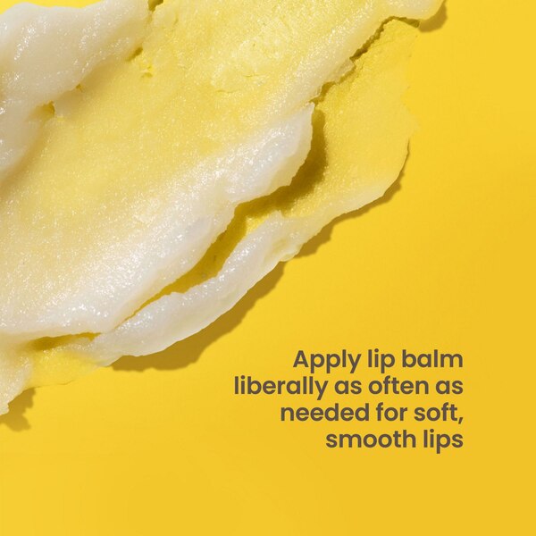 Burt's Bees Shea + Aloe Moisturizing Lip Balm, 2 CT