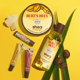 Burt's Bees Shea + Hyaluronic Acid Plumping Lip Serum, Red Dahlia, 0.27 OZ, thumbnail image