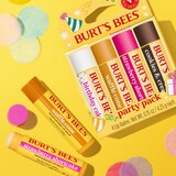 Burt's Bees Lip Balm Party Pack, 4 CT, thumbnail image