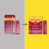Burt's Bees Tinted Lip Balm, Daisy, 0.15 OZ, thumbnail image
