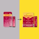 Burt's Bees Tinted Lip Balm, Magnolia, thumbnail image