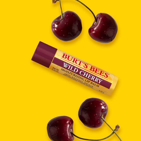 Burt's Bees 100% Natural Origin Moisturizing Lip Balm