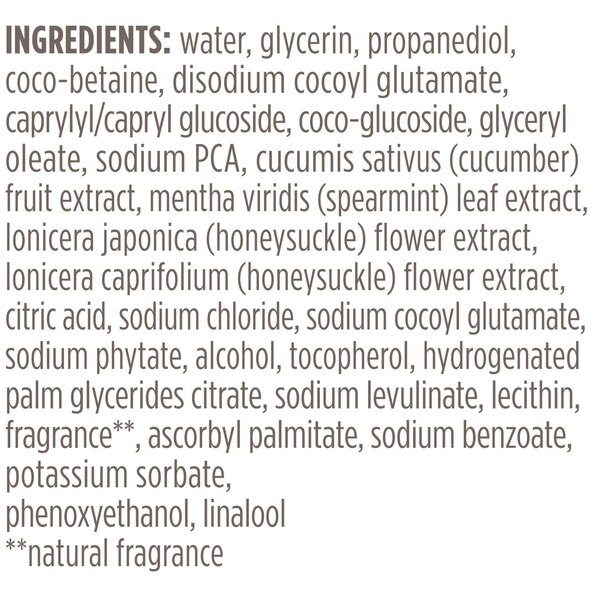 Burt's Bees Refreshing Foaming Face Cleanser with Cucumber and Mint, 4.8 OZ