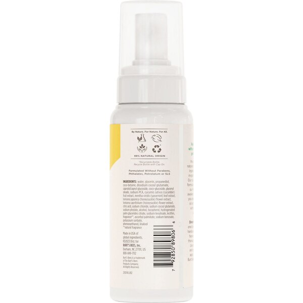 Burt's Bees Refreshing Foaming Face Cleanser with Cucumber and Mint, 4.8 OZ