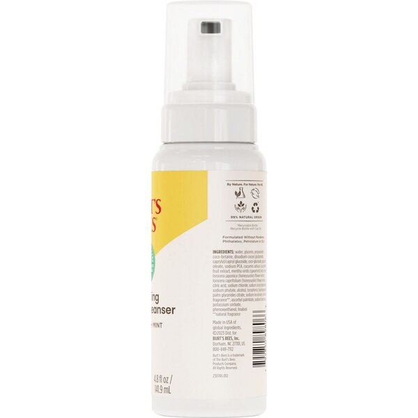 Burt's Bees Refreshing Foaming Face Cleanser with Cucumber and Mint, 4.8 OZ