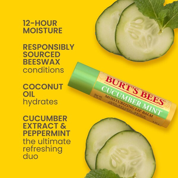 Burt's Bees - Bálsamo labial hidratante 100% natural, Cucumber Mint with Beeswax