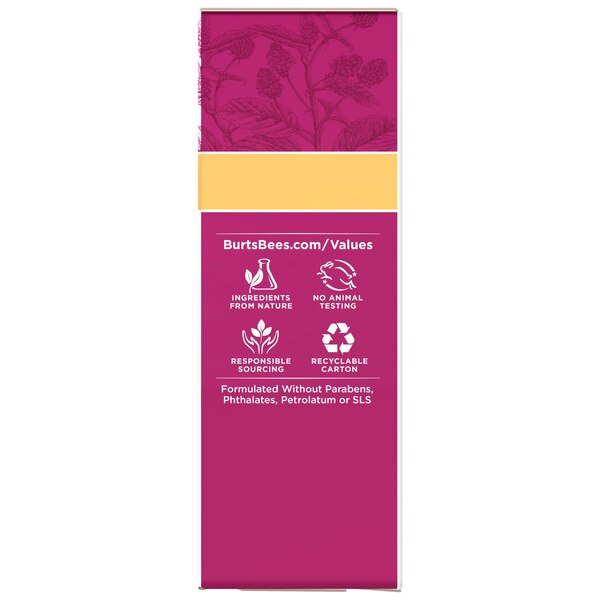Burt's Bees Renewal Dark Spot Corrector, 1 OZ