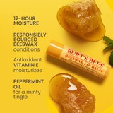 Burt's Bees Moisturizing Lip Balm, Beeswax, Cucumber Mint, Coconut Pear and Vanilla Bean, 4 CT, thumbnail image 2 of 9