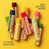 Burt's Bees Moisturizing Lip Balm, Beeswax, Cucumber Mint, Coconut Pear and Vanilla Bean, 4 CT, thumbnail image 4 of 9