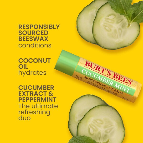 Burt's Bees Moisturizing Lip Balm, Freshly Picked Set, 4 CT