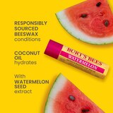 Burt's Bees Moisturizing Lip Balm, Freshly Picked Set, 4 CT, thumbnail image