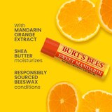 Burt's Bees Moisturizing Lip Balm, Freshly Picked Set, 4 CT, thumbnail image