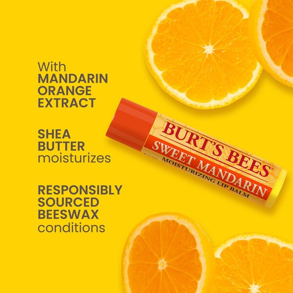 Burt's Bees Moisturizing Lip Balm, Freshly Picked Set, 4 CT