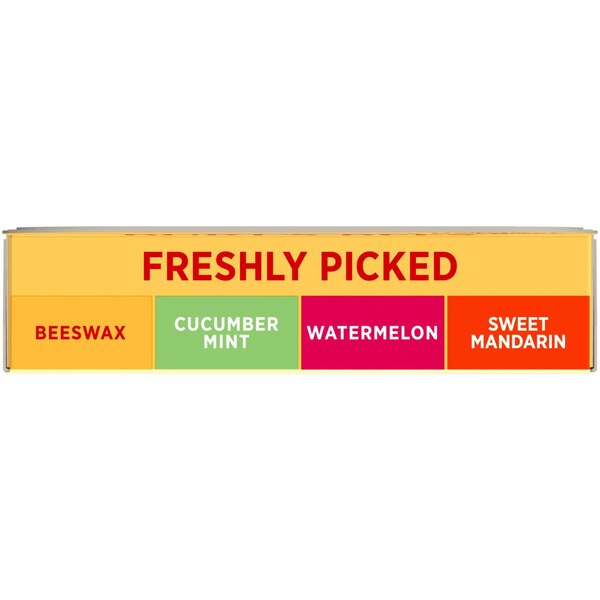 Burt's Bees Moisturizing Lip Balm, Freshly Picked Set, 4 CT