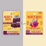 Burt's Bees Moisturizing Lip Balm, Berry Agua Fresca, 0.15 OZ, thumbnail image