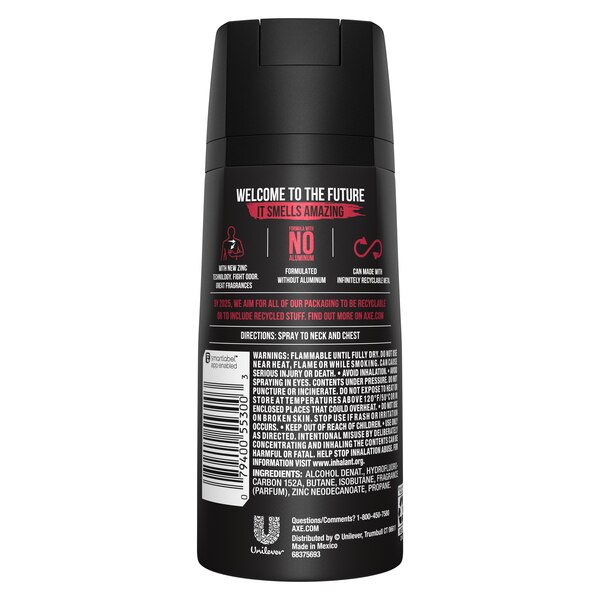 AXE Essence 48-Hour High Definition Scent Deodorant Body Spray, Black Pepper & Cedarwood